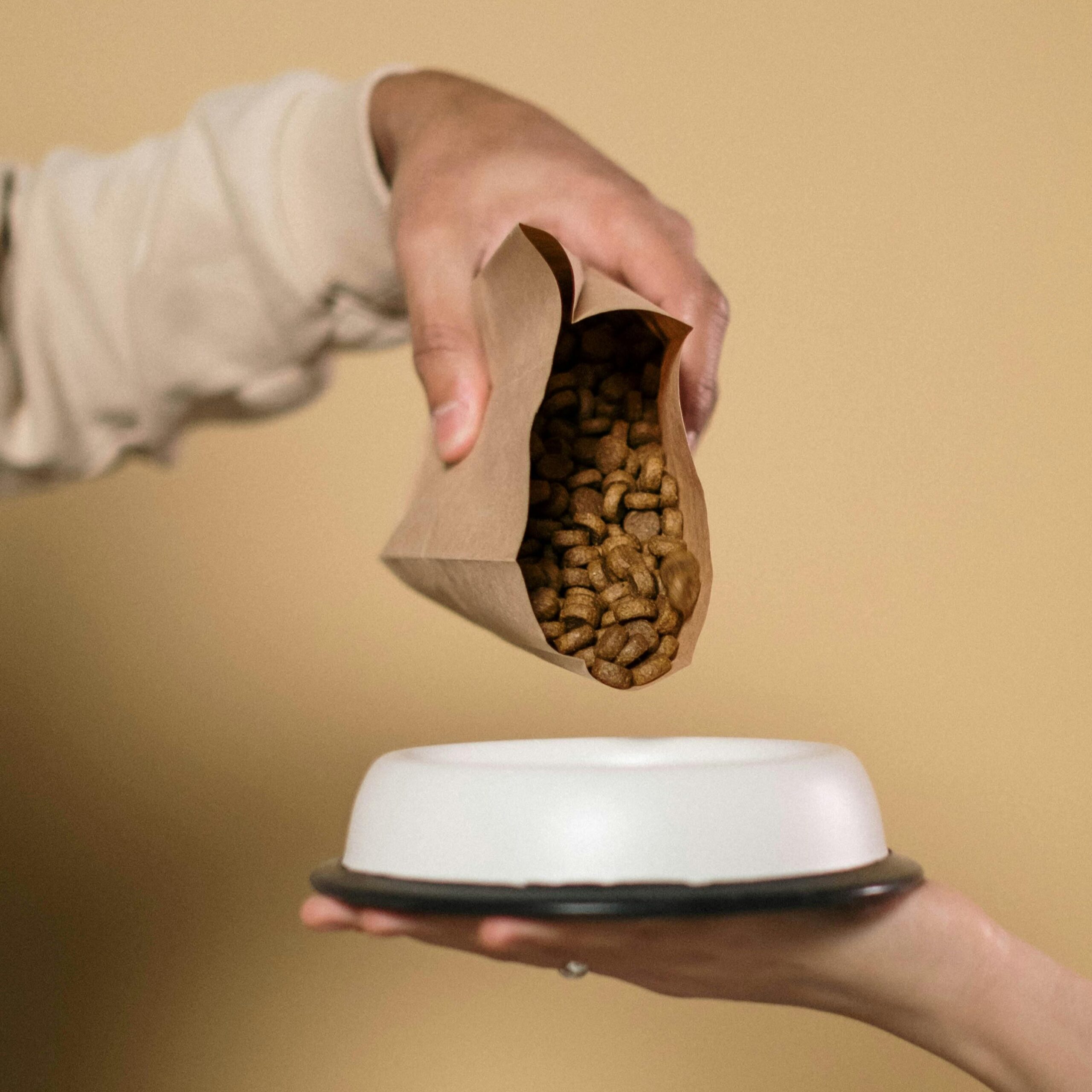 cvjh c Organic Dog Food - Image 1